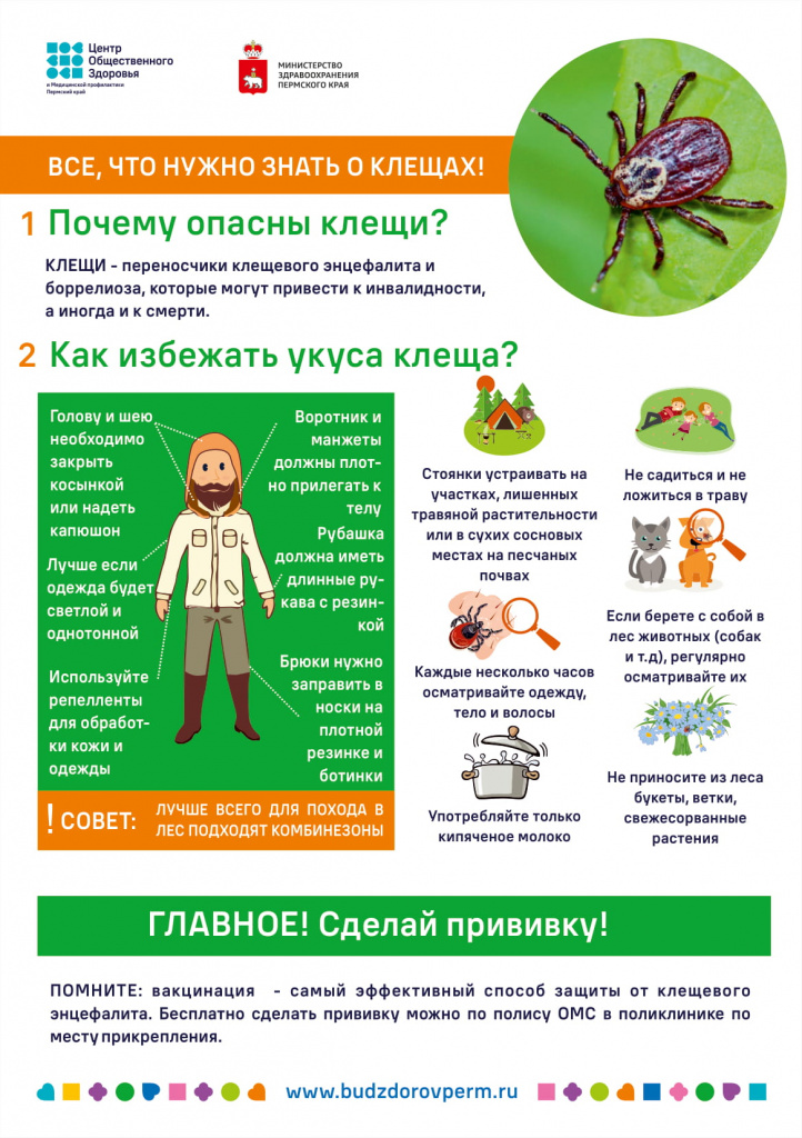 kleschi_A5-1.jpg