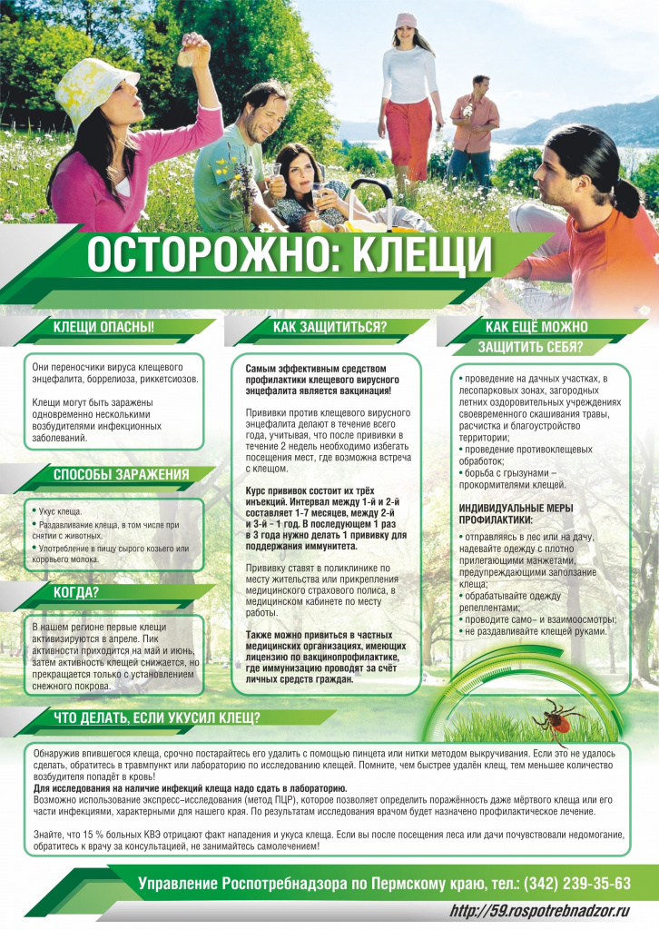 ПК осторожно, клещи.jpg